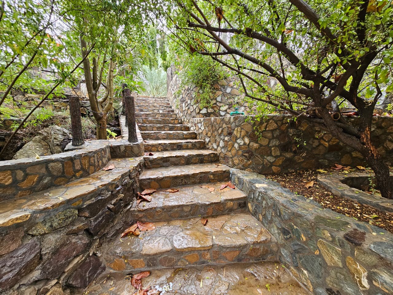 WhatsApp Image 2025 11 30 at 10.36.37 c2fd814a